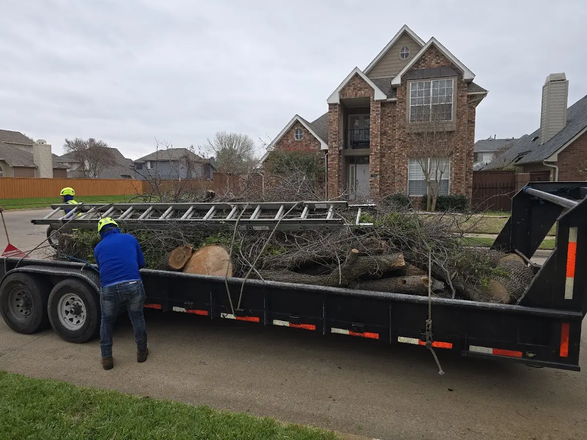 Expert Tree Fertilization with proper safety equipment in Mount Holly
